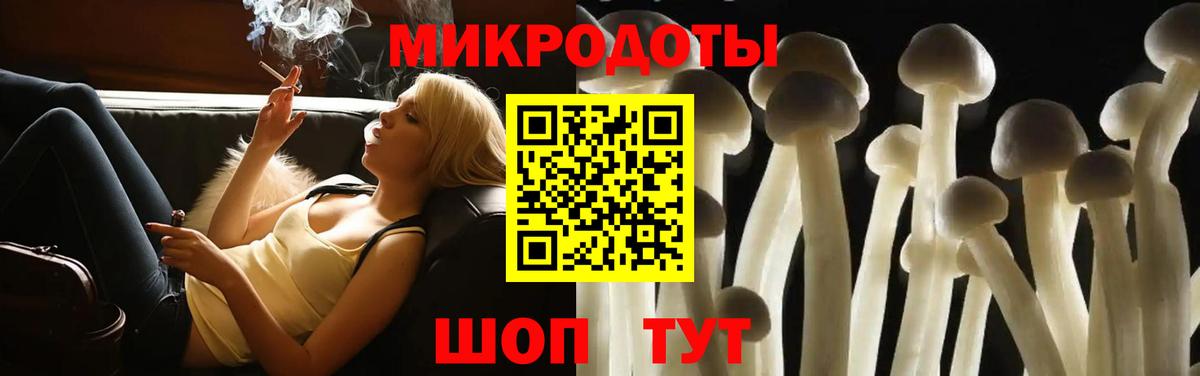 Галлюциногенные грибы Psilocybe  Вход с VPN  купить закладку  Галлюциногенные грибы мухоморы  Волжск 